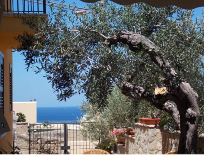 Modus B&B San Vito Lo Capo Bagian luar foto