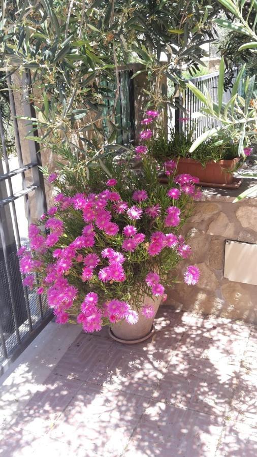 Modus B&B San Vito Lo Capo Bagian luar foto