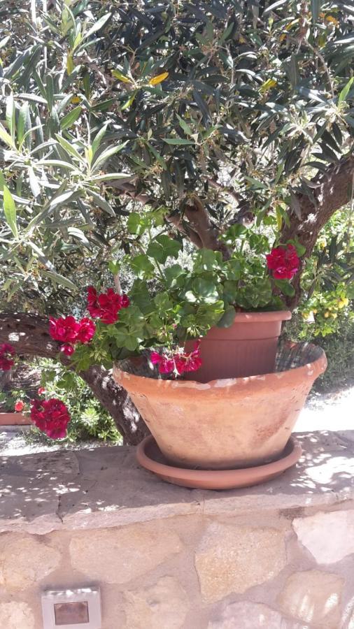 Modus B&B San Vito Lo Capo Bagian luar foto